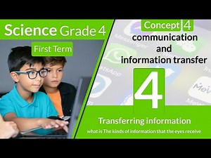 Transferring information| LESSON 2.2|what is The kinds of information that the eyes receive ?