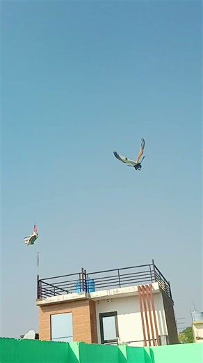 #@up 26 ⚡💯🔥₹#@