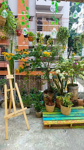 24K views · 510 reactions | সুন্দর না? | Tree Friend | Facebook