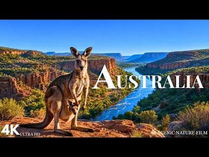 Australia's Untamed Beauty 4K: Untouched Wilderness & Incredible Wildlife