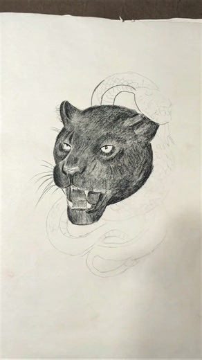 Black Tiger & Snake Drawing 🐅🐍 | Work in Progress | Learn How to Draw Tiger
