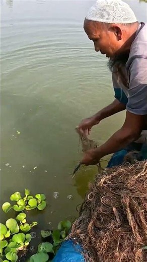 Small Fish Catching in River 🎣 | Amazing Fishing Skills | Fish Hunting