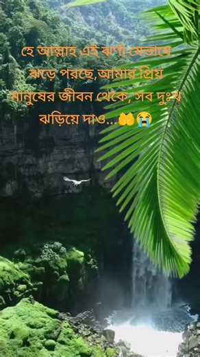 ʀᴏsᴇ (@zx_rose_op)’s videos with original sound - Music Clips - Mandira_forever