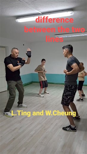 Combat Wing Chun - Master Lazo Naumov Difference between the two lines-Leung Ting and my teacher William Cheung ☯️School Phoenix-Veles-Makedonija 🇲🇰 #wingchun #wingchunkungfu #martialarts #training #sport #selfdefenceinstructor #healthylifestyle #lifestyle | Combat Wing Chun - Master Lazo Naumov