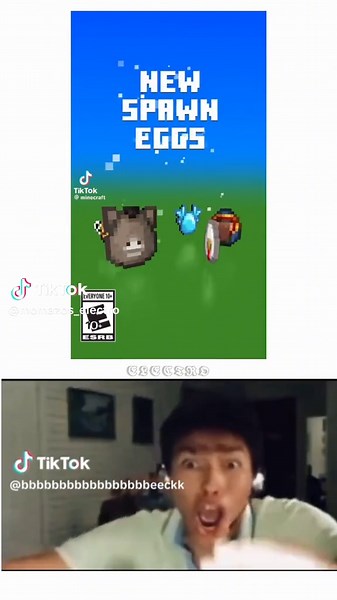 ¡Bebe, lo logramos! Meme y Clips de Minecraft