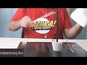 Prática 03: Pêndulo eletrostático - Observação