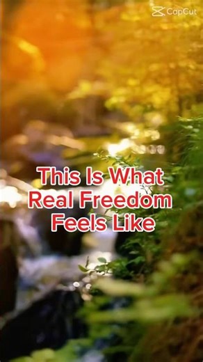 What is real freedom #shorts #freedom #business #homebusinesses