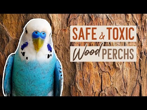 SAFE & TOXIC Wood Perches for Birds