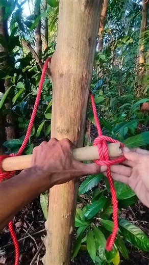 Strong Rope Ladder! 🔥 #knottying #outdoorskills #ropetrick