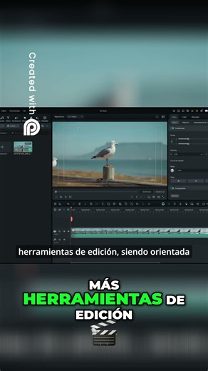 Filmora vs CapCut: El Editor Perfecto para Principiantes #adobe #blackmagic #capcut