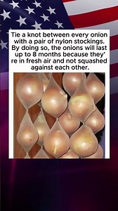 How to Store Onions for Up to 8 Months