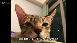 如何在endnote中添加新的reference格式并在文档中快速插入？