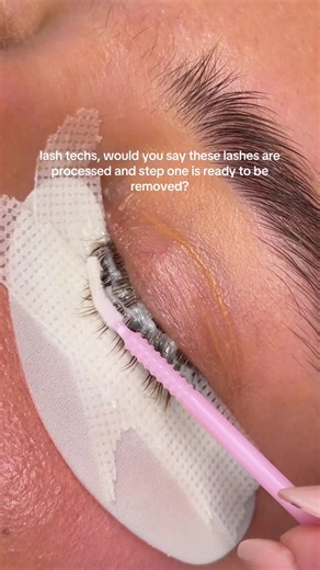 Understanding Lash Lifts: Process and Preparation
