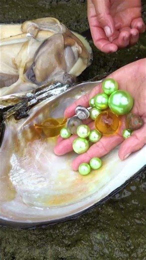 Why can't we finish digging out all the pearls here