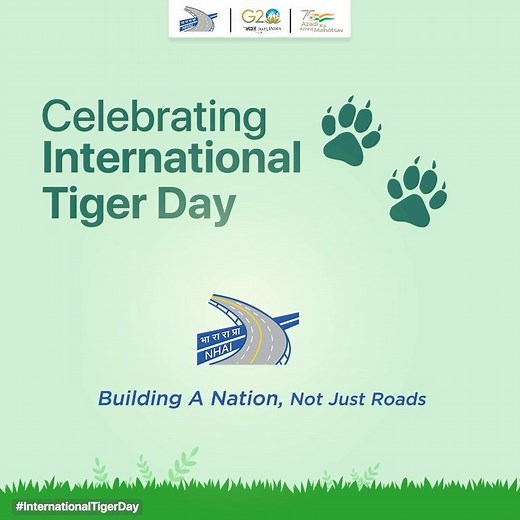 1.1K views · 19 reactions | Mitigating impact of infra development on wildlife, NHAI is committed to minimize human–wildlife conflict and develop NH network with least impact on eco-sensitive areas. Wildlife corridors are shining examples of NHAI’s commitment to safeguard wildlife.#NHAI #InternationalTigerDay | National Highways Authority of India - NHAI | Facebook