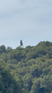 14K views · 305 reactions | Dale Hollow Dave on Reels | Facebook