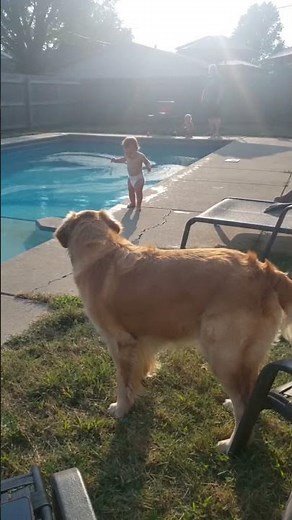 I Found This On My Phone Two Days Later. I Had No Idea Any Of This Happened. 🐕👶🙏
