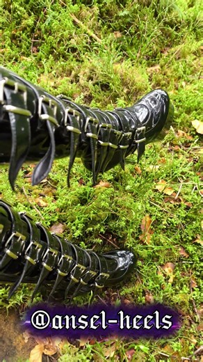 Outdoor Boot Photoshoot | Ansel Heels #boots #platformheels #higheels