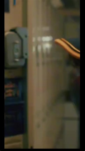 #streyertings #ReyesMagosEnTikTokShop #tiktok