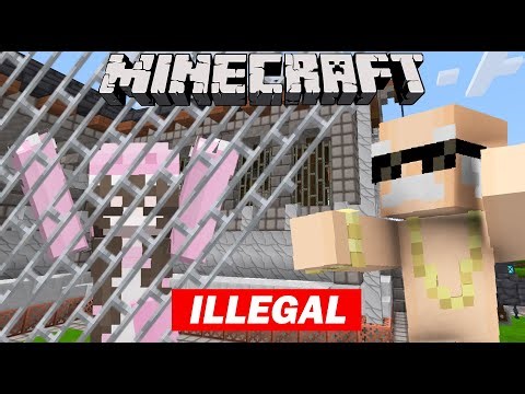 I got taken to COURT for GRIEFING in minecraft