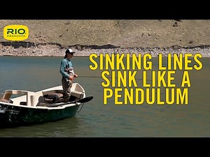 Sinking Lines Sink Like A Pendulum