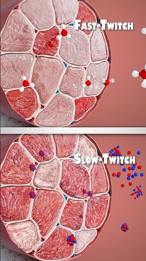Light VS Heavy Weight (Which Is Best for Muscle Growth)