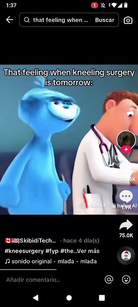 Poki xD #humor #poki