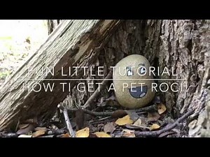 Tutorial: How To Make A Pet Rock!