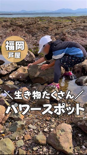 福岡・洞山：子連れ必見の天然“水族館”と必勝パワースポット