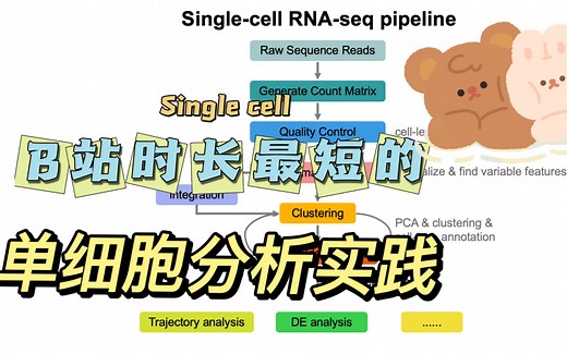 省时单细胞入门分析课程-第一期