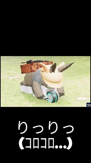 【PSO2NGS】運動中のタヌーパ君#pso2ngs #pso2 #ngs #pso2ニュージェネシス