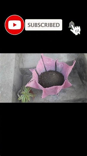 DIY Pink Cloth Plant Pot 🌸🪴 | Best Out of Waste | Easy Garden Decor Idea
