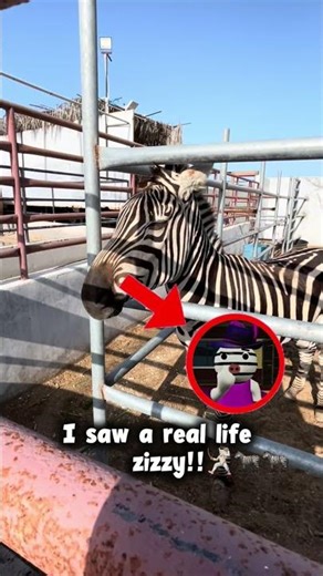 #piggy #roblox #zebra #zizzy #pony