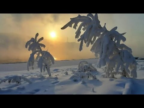 1124. 🎼. «Time to Say Goodbye» (Con Te Partirò) - Sarah Brightman & Andrea Bocelli