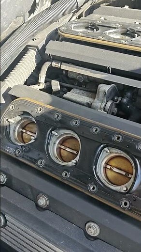 Inside BMW S62 V8 engine after trumpets removal M5 E39 #bmwmpower #bmwm5e39 #mechanic #m5 #car #cars