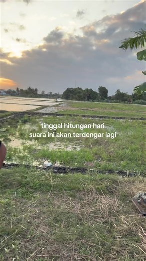 akan segera tayang #musimlayangan2k26