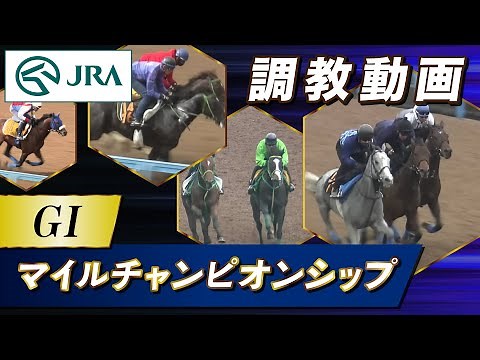 【調教動画】2025年 マイルチャンピオンシップ｜JRA公式
