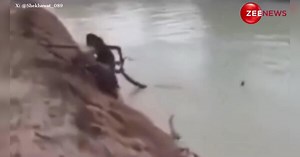8 साल के बच्चों ने अजगर को किया किडनैप, पूंछ पकड़कर तालाब से बाहर निकाला; देख यकीन नहीं कर पाएंगे आप