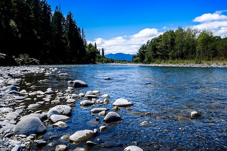奥林匹克国家公园【2025】Olympic National Park - 美国旅游指南