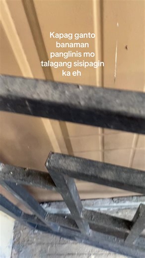 Effective Cleaning Tips with Damp Cleaning Tools