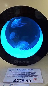 1.9K views · 51 reactions | Cubic Jellyfish tanks now in stock....