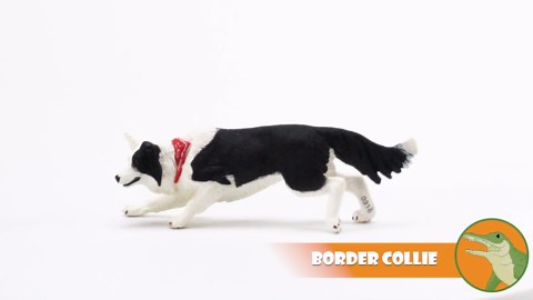 Safari Ltd. Border Collie Figurine - Detailed 5" Plastic Model Figure - Fun Educational Play Toy for Boys, Girls & Kids Ages 3+