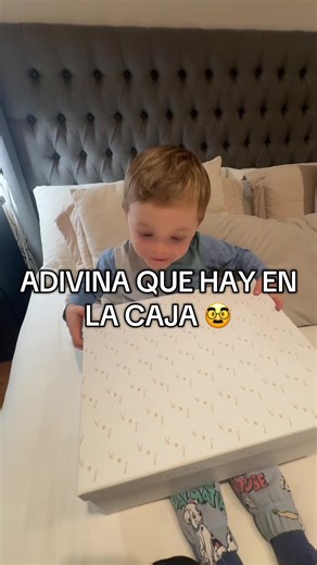 Adivina qué hay en la caja🥸