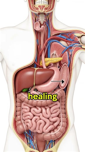 Top 10 Gut-Healing Foods to Improve Digestion & Reduce Bloating! 🌿🥬 #Shorts