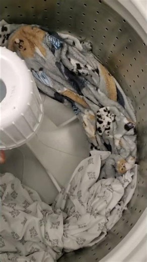 Best Top Load Washer 2024 #homeappliance