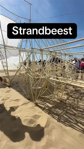 Strandbeest