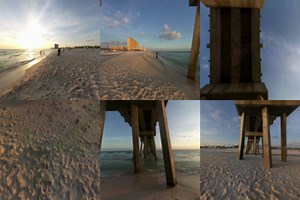 3.2M views · 4.3K shares | A vacation destination for the entire family - including family members with four legs! | Visit Panama City Beach | Facebook