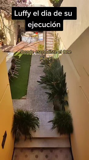 One Piece Humor: Nami's Hilarious Moments