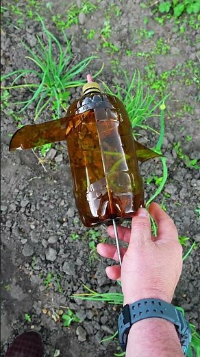 Amazing Garden Hack: Repel Moles and Birds with a Plastic Bottle #diy #lifehack #shorts