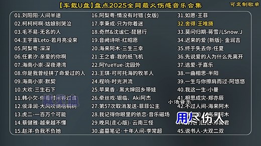 【车载U盘】盘点2025全网播放破十亿热歌合集